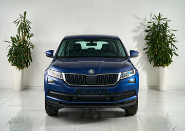 Skoda Kodiaq Вид 2